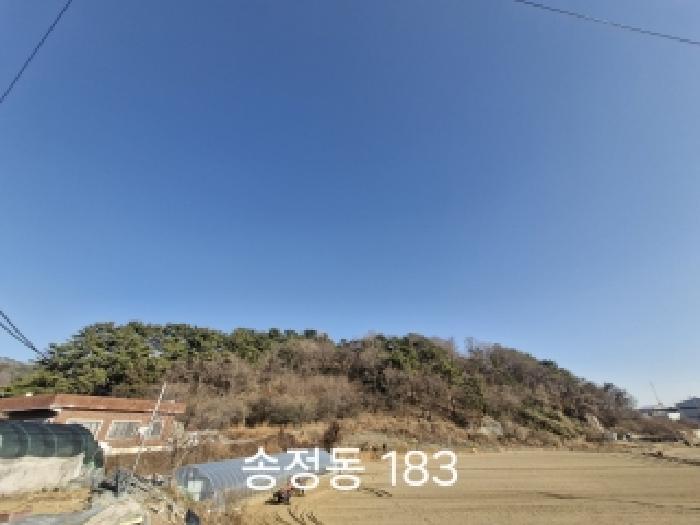 부산광역시 강서구 송정동 183 임야 경매 사진 6