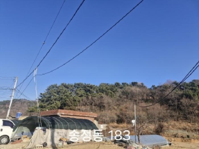 부산광역시 강서구 송정동 183 임야 경매 사진 7