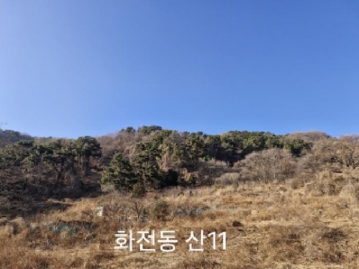 부산광역시 강서구 송정동 183 임야 경매 사진 9
