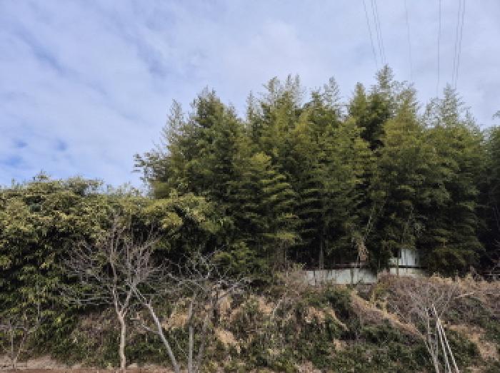 울산광역시 울주군 청량읍 삼정리 250-1 전 경매 사진 3