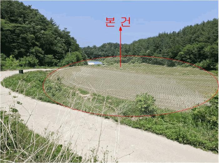 울산 울주군 대지