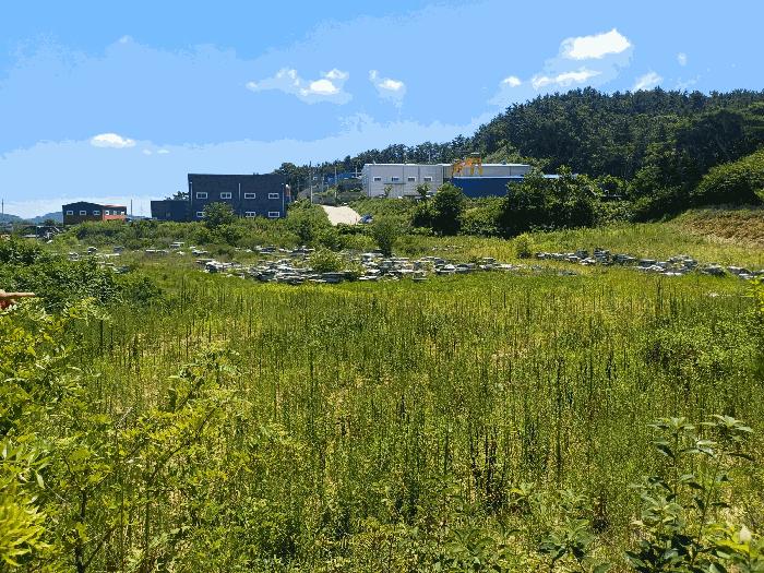 경상북도 칠곡군 가산면 송학리 727-1 묘지 경매 사진 12