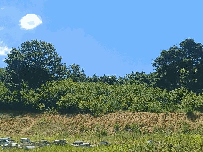 경상북도 칠곡군 가산면 송학리 727-1 묘지 경매 사진 18