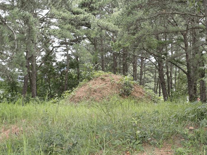 경상북도 칠곡군 가산면 송학리 727-1 묘지 경매 사진 7