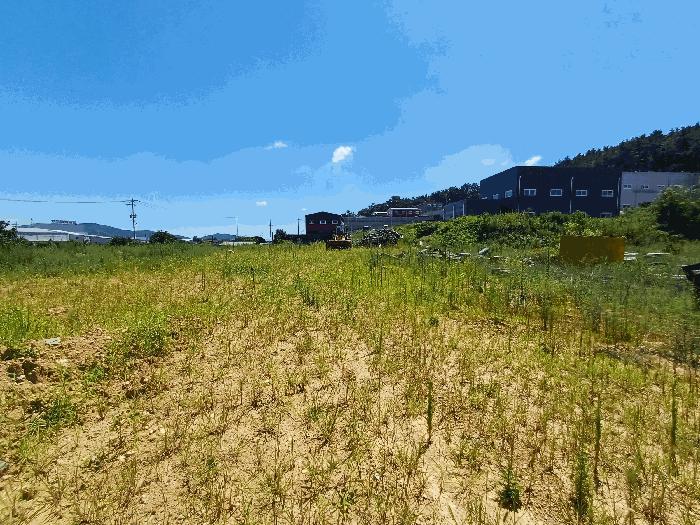 경상북도 칠곡군 가산면 송학리 832-1 전 경매 사진 19