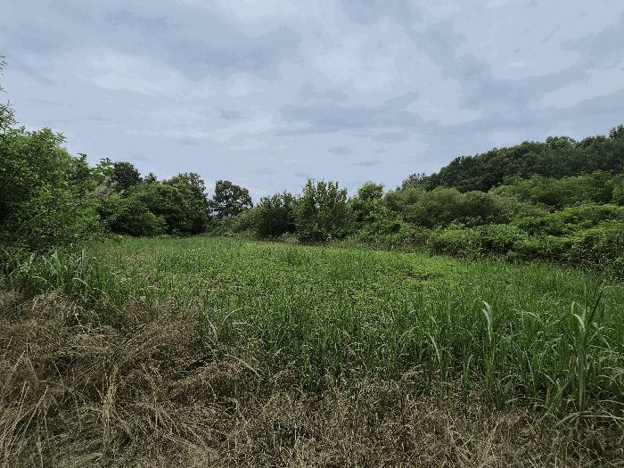 경상북도 성주군 성주읍 용산리 784-1 전 경매 사진 1