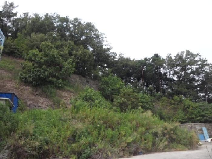 경상북도 고령군 개진면 부리 171-3 공장 경매 사진 11