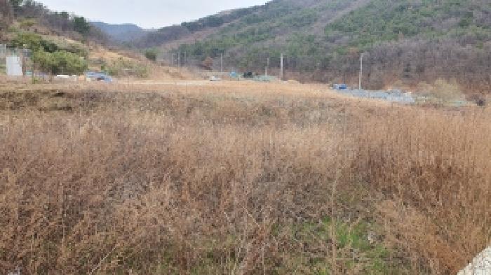 경상남도 김해시 주촌면 내삼리 114 답 경매 사진 5