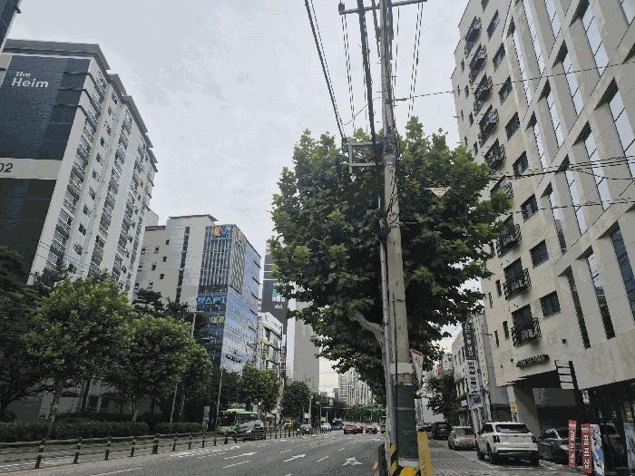 서울특별시 강서구 염창동 246-9 더에스에스타운 제7층 제704호 다세대(빌라) 경매 사진 5