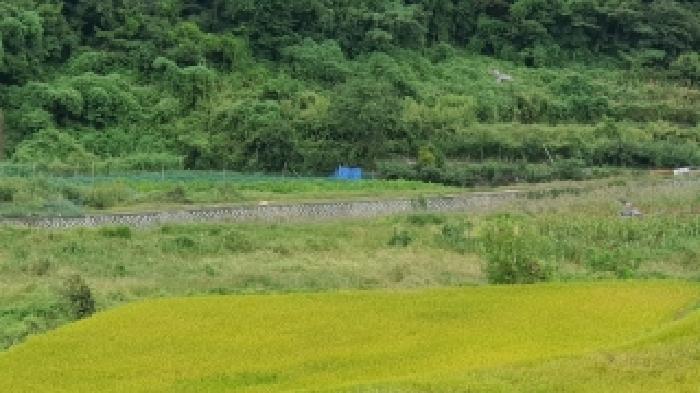 경상남도 창원시 마산합포구 진전면 평암리 1014-1 답 경매 사진 3