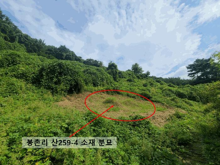 경상남도 함안군 칠북면 봉촌리 산259-1 과수원 경매 사진 4