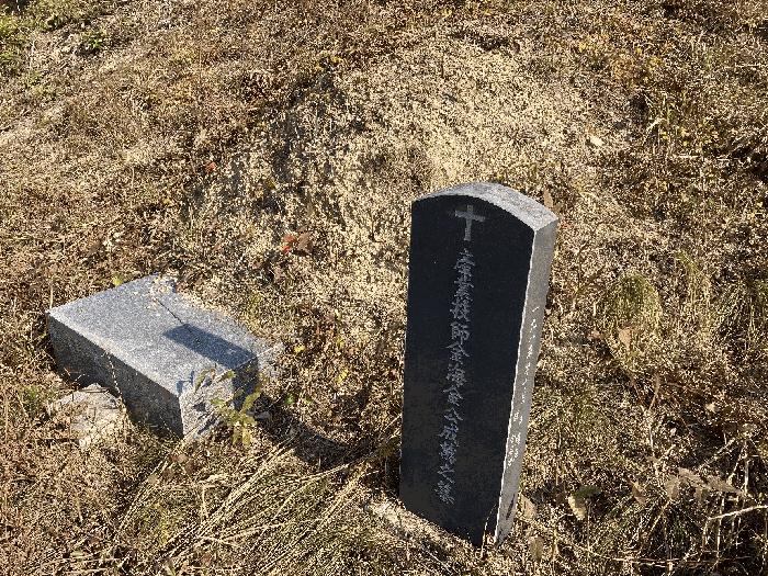 경상남도 함안군 칠북면 덕남리 산74 임야 경매 사진 7