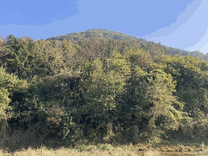 경상남도 함안군 칠북면 이령리 산120 임야 경매 사진 13