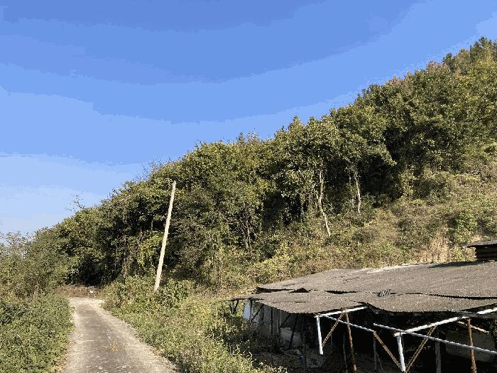 경상남도 함안군 칠북면 이령리 산120 임야 경매 사진 16