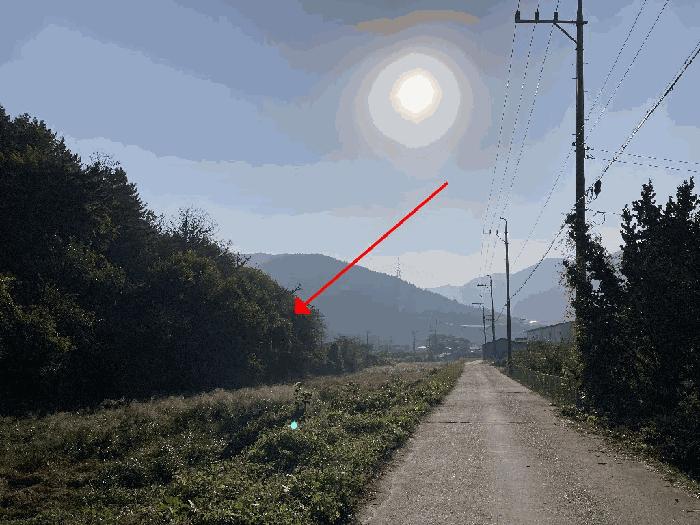 경상남도 함안군 칠북면 이령리 산120 임야 경매 사진 18