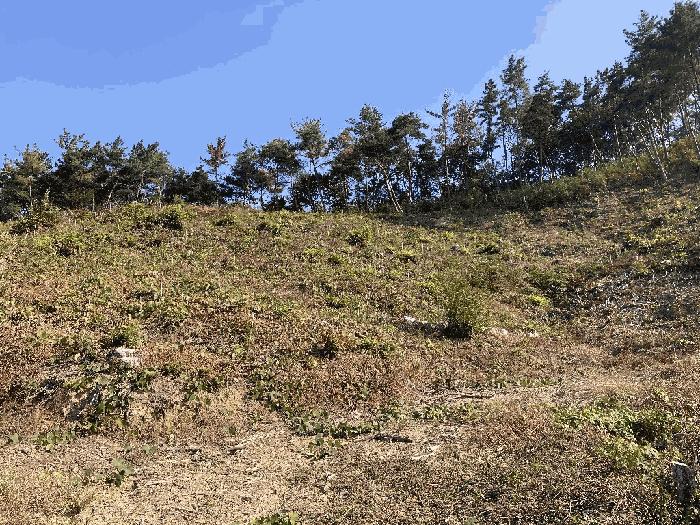 경상남도 함안군 칠북면 이령리 산120 임야 경매 사진 2