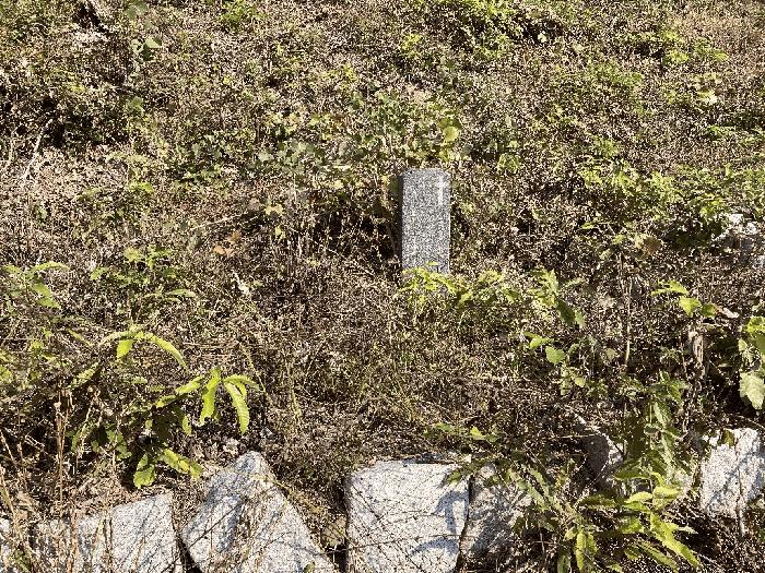 경상남도 함안군 칠북면 이령리 산120 임야 경매 사진 5