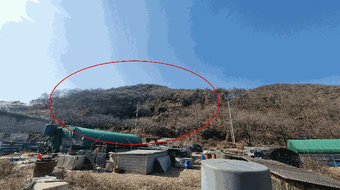 경상남도 김해시 생림면 도요리 산11-17 임야 경매 사진 1