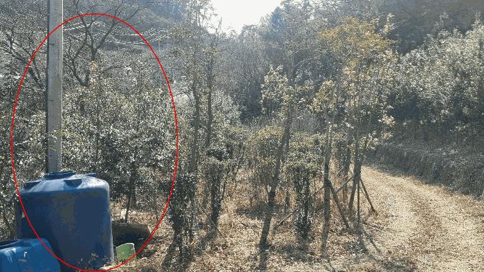 경상남도 김해시 생림면 도요리 산11-17 임야 경매 사진 10