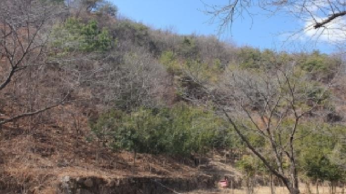 경상남도 김해시 생림면 도요리 산11-17 임야 경매 사진 12