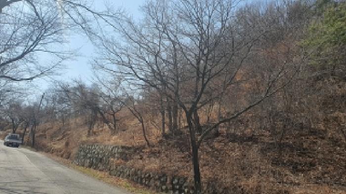 경상남도 김해시 생림면 도요리 산11-17 임야 경매 사진 13