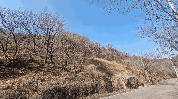 경상남도 김해시 생림면 도요리 산11-17 임야 경매 사진 2