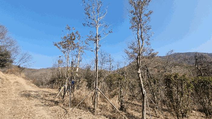 경상남도 김해시 생림면 도요리 산11-17 임야 경매 사진 5