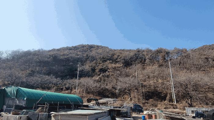 경상남도 김해시 생림면 도요리 산11-17 임야 경매 사진 6
