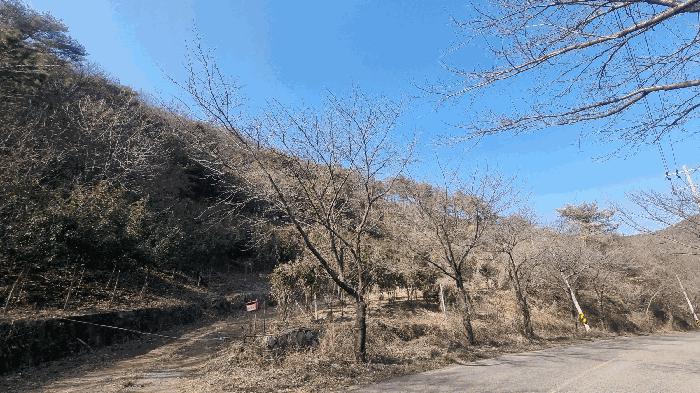 경상남도 김해시 생림면 도요리 산11-17 임야 경매 사진 7