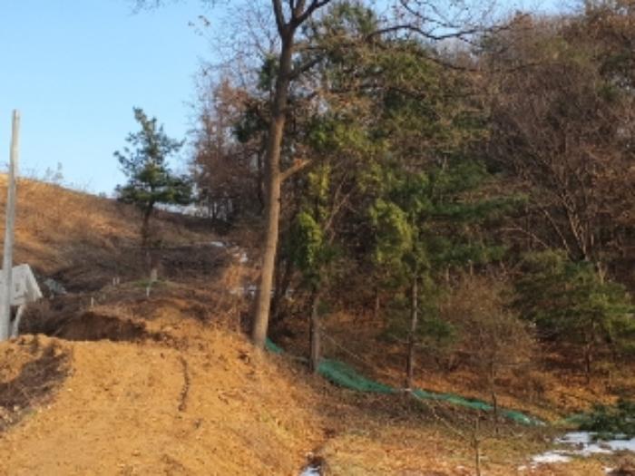 경기도 화성시 봉담읍 마하리 산18-3 임야 경매 사진 7