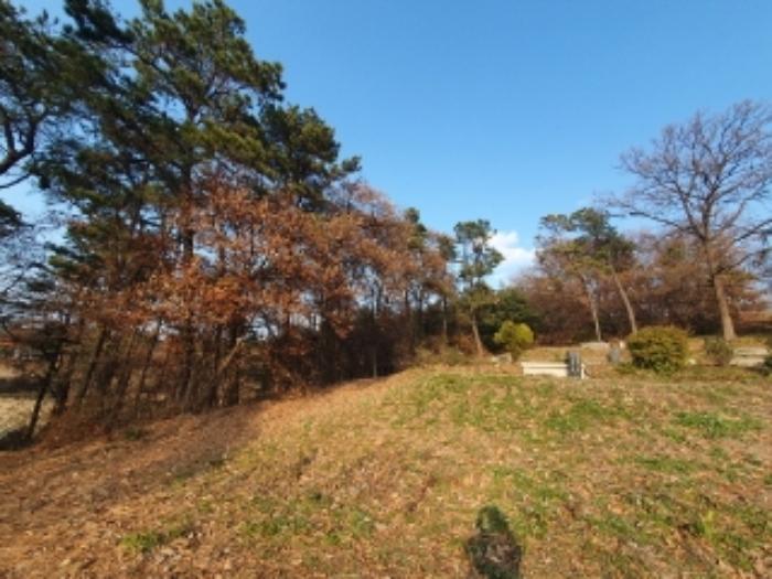 경기도 화성시 봉담읍 마하리 산18-3 임야 경매 사진 8