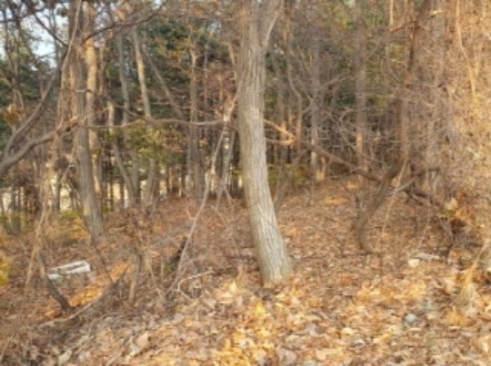 경기도 화성시 봉담읍 마하리 산18 임야 경매 사진 11