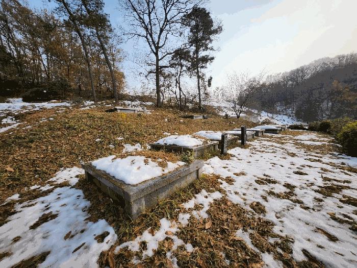 경기도 화성시 봉담읍 마하리 산18 임야 경매 사진 4