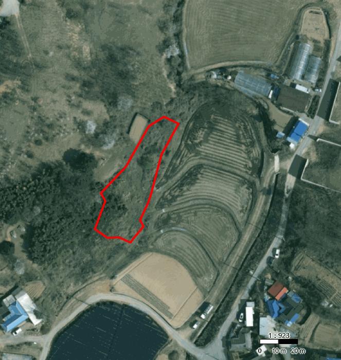 경기도 화성시 남양읍 활초리 202 전 경매 사진 19