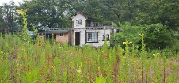 경상북도 경산시 남천면 금곡리 668-15 과수원 경매 사진 7