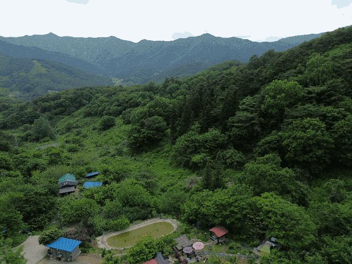 전라남도 곡성군 석곡면 염곡리 706 전 경매 사진 13