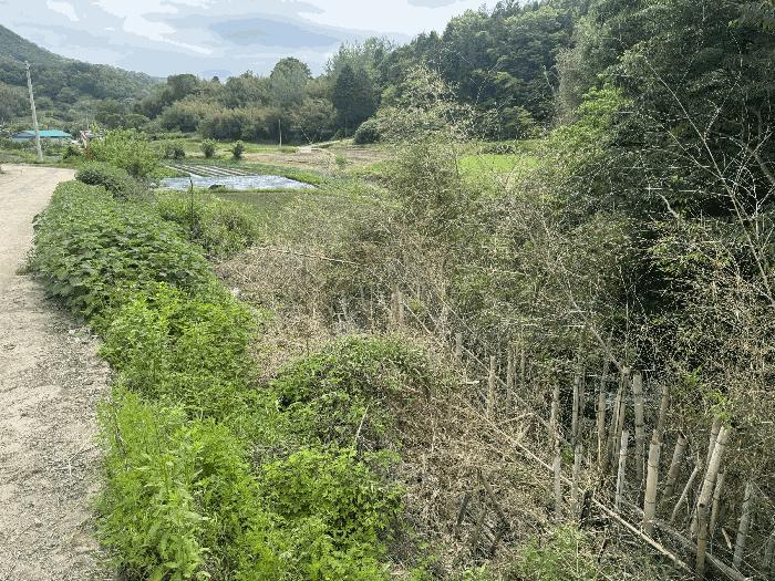 전라남도 곡성군 석곡면 염곡리 706 전 경매 사진 5