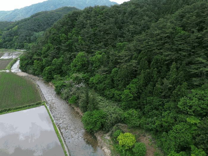 전라남도 곡성군 석곡면 염곡리 산261 임야 경매 사진 11