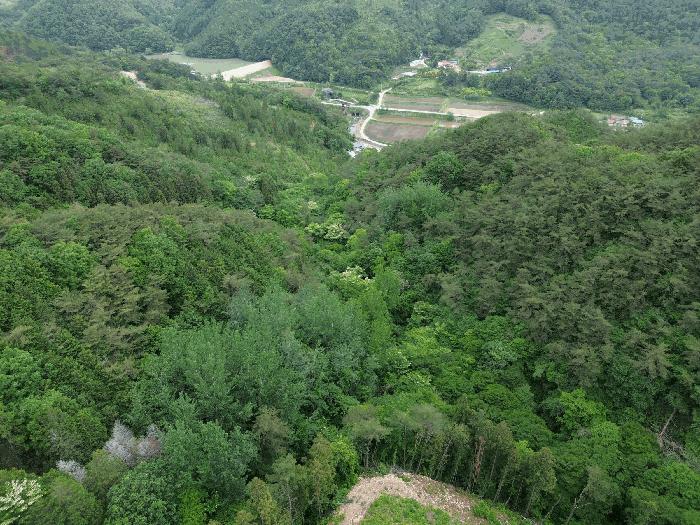 전라남도 곡성군 석곡면 염곡리 산261 임야 경매 사진 8