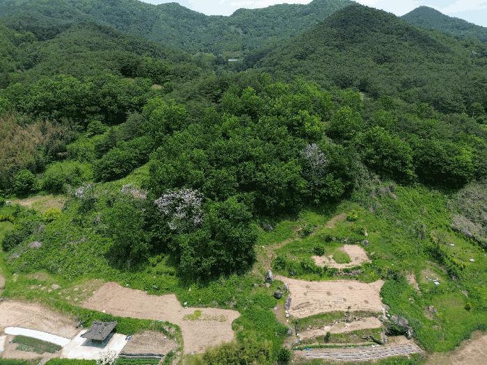 전라남도 곡성군 석곡면 염곡리 산278 임야 경매 사진 10
