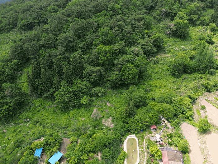 전라남도 곡성군 석곡면 염곡리 산278 임야 경매 사진 15