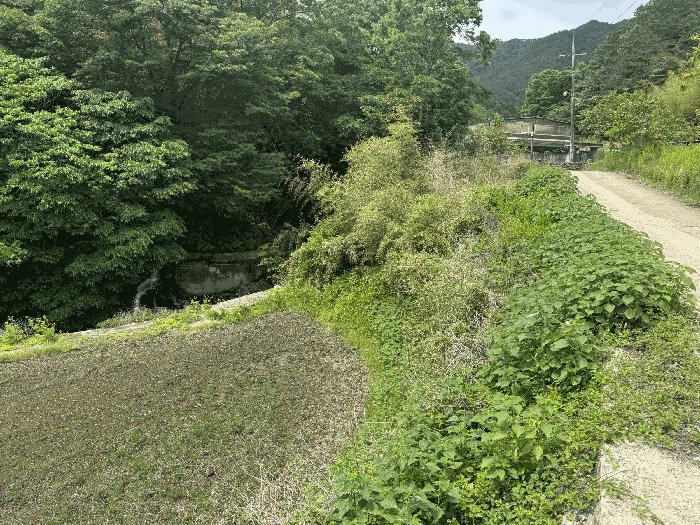 전라남도 곡성군 석곡면 염곡리 산278 임야 경매 사진 2