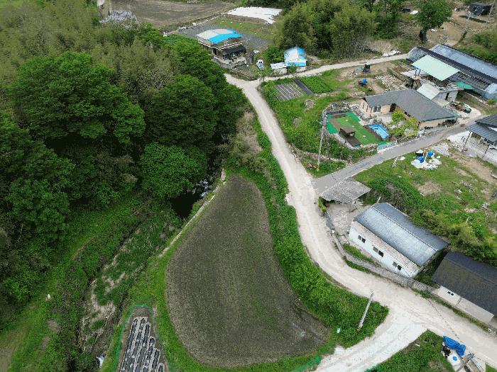 전라남도 곡성군 석곡면 염곡리 산278 임야 경매 사진 3