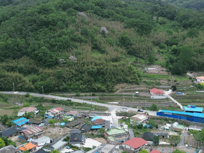 전라남도 곡성군 석곡면 염곡리 1494-1 대지 경매 사진 20