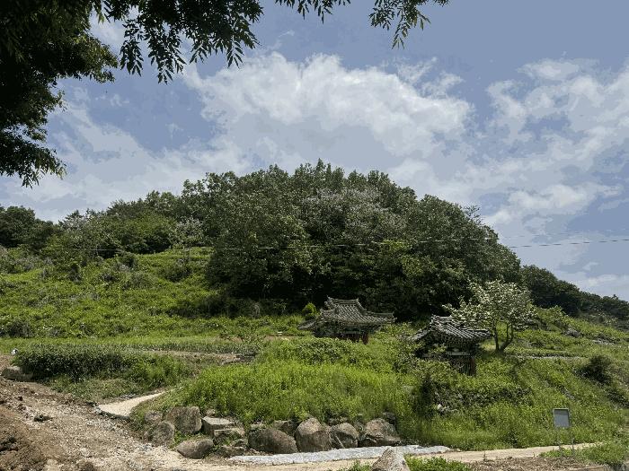 전라남도 곡성군 석곡면 염곡리 2007 답 경매 사진 19