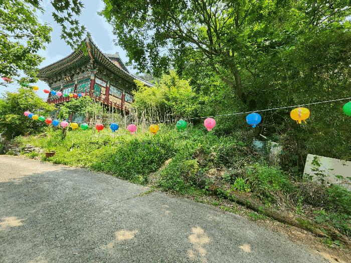 광주광역시 동구 운림동 산186-1 임야 경매 사진 11