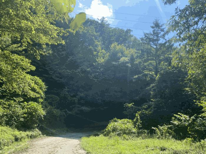 경상북도 청도군 각북면 지슬리 산110 임야 경매 사진 1