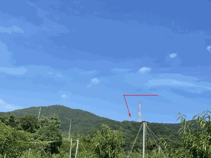경상북도 청도군 각북면 지슬리 산110 임야 경매 사진 2