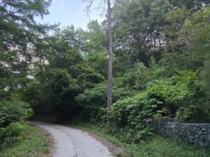 경상북도 청도군 각북면 지슬리 산110 임야 경매 사진 8
