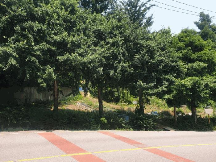 광주광역시 동구 지산동 25 전 경매 사진 1